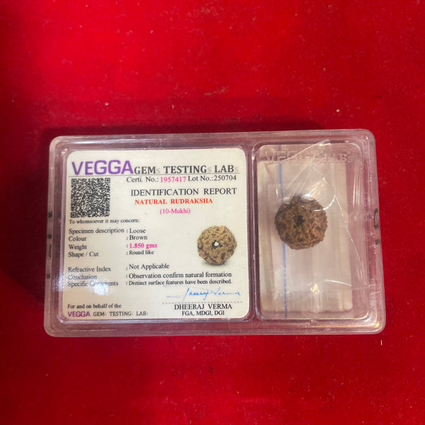 10 Mukhi Rudraksha Benefits