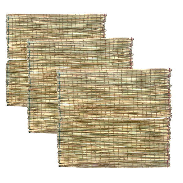 Decorative darbha grass mat set of three, tan woven with green stitched lines