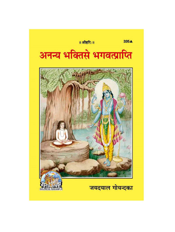 Spiritual book cover with Krishna-like deity standing beside seated sage illustration