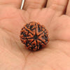 Seven Mukhi Rudraksha bead in hand, brown textured surface