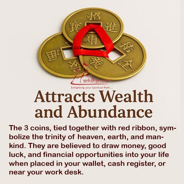 Big Size 3 Lucky Coins - Achleshwar