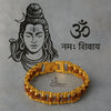 Gold Plated Premium Rudraksha Chain Bracelet for Men & Women | Stylish Spiritual Kada with Original Rudraksha Beads - Achleshwar