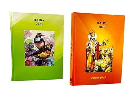 Set of two diaries: green and orange covers with 'DAIRY 2025' and illustrations