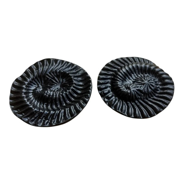 Original Vishnu Chakra Shaligram Stone - Achleshwar