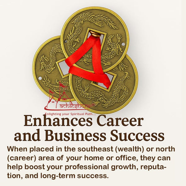 Achleshwar Big Size 3 Lucky Coins