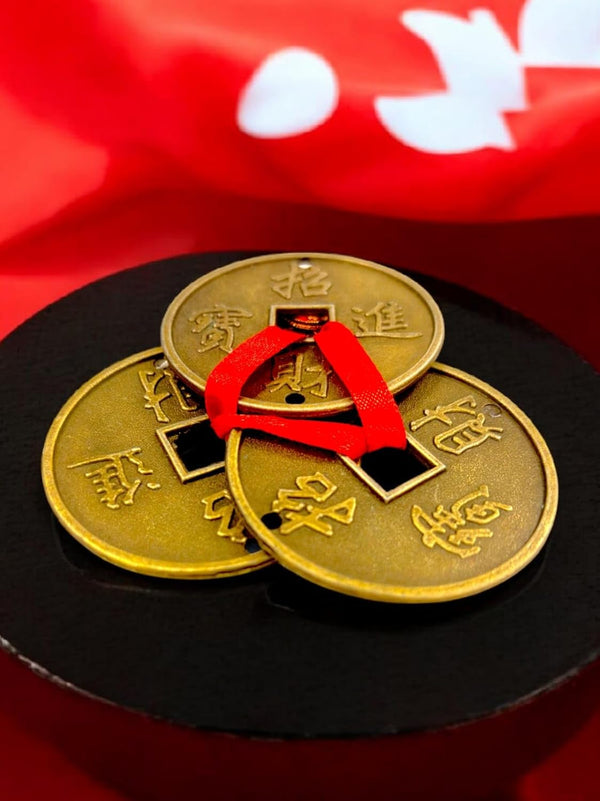 Achleshwar Big Size 3 Lucky Coins