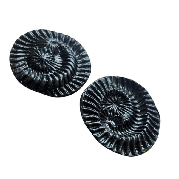 Achleshwar Original Vishnu Chakra Shaligram Stone