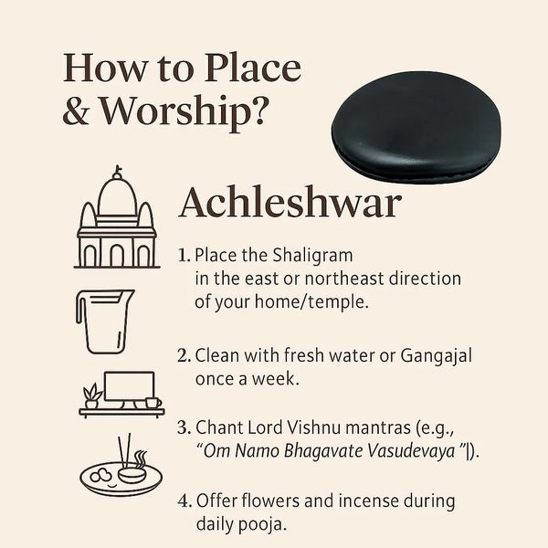 Original Vishnu Chakra Shaligram Stone - Achleshwar