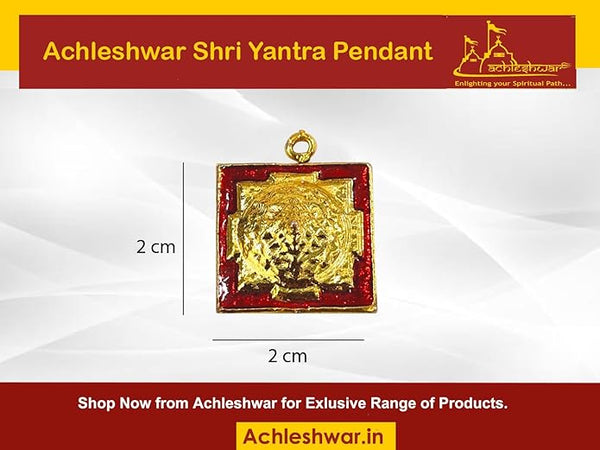 Achleshwar Ashtadhatu Shri Yantra Locket for Men Women
