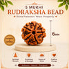5 Mukhi Rudraksha Mala (108+1 Beads, 6mm) | Authentic Rudraksha Japa Mala for Subtle Healing, Peace & Daily Spiritual Balance