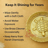Vastu Feng Shui Designer Brass Tortoise with Plate - Achleshwar