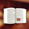 Open book with two columns of printed Hindi text on white pages