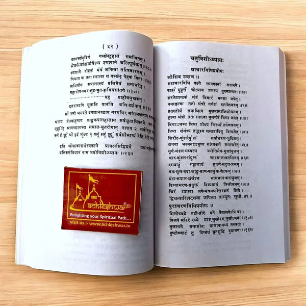 Aakash Bhairav Kalpam | आकाश भैरव कल्पम् | Sanskrit-Hindi Granth by Pt. Nanak Chandra Sharma | Tantra, Mantra, Bhairav Sadhana Book - Achleshwar