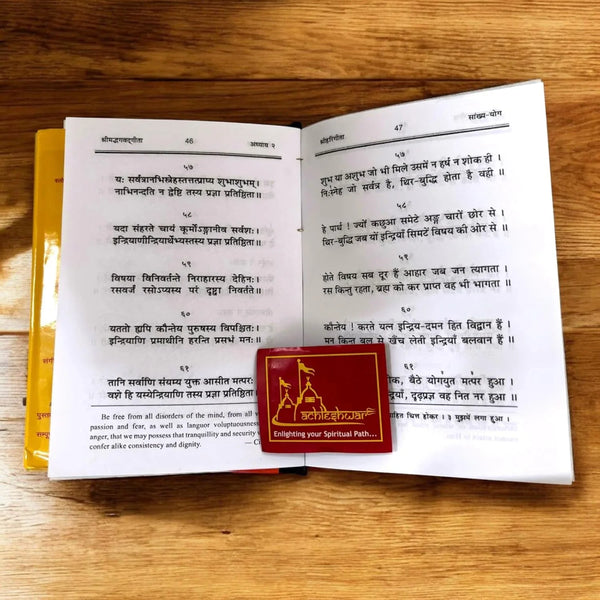 Shri Hari Gita (Hardcover, Hindi Edition) - Achleshwar