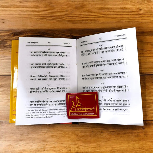 Achleshwar Shri Hari Gita (Hardcover, Hindi Edition)