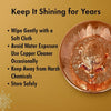 Copper tortoise plate with polished embossed tortoise figure and shell texture