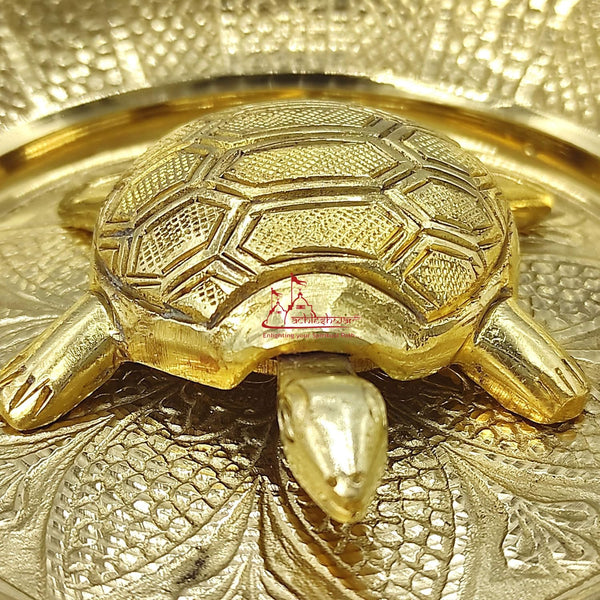 Achleshwar Vastu Feng Shui Designer Brass Tortoise with Plate