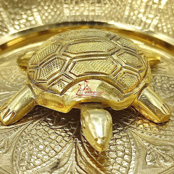 Brass tortoise plate close-up showing head, claws, and embossed hexagon shell