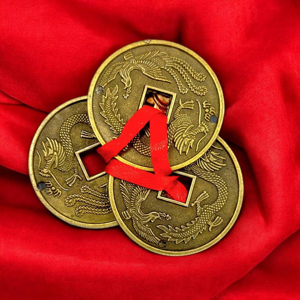 Big Size 3 Lucky Coins - Achleshwar