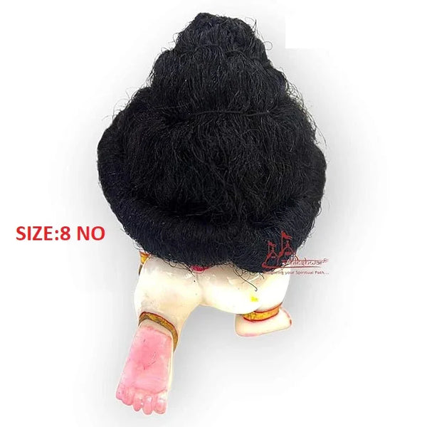 Ladoo Gopal Shinning Black Hair (8 No) - Achleshwar