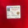 Certified 10 Mukhi Rudraksha
