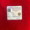 Certified 10 Mukhi Rudraksha