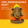 Cow Dung Ganesha Idol – Eco-Friendly Gobar Ganpati for Home, Office, Car, Shop & Factory | 100% Biodegradable Murti (Dissolves in Water in 6 Hours) 11 x 9 x 6 cm - Achleshwar