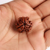 3 Mukhi Rudraksha – Energized Natural Three Face Rudraksha Bead for Confidence, Stress Relief & Spiritual Growth - Achleshwar
