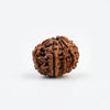Goddess Durga Rudraksha