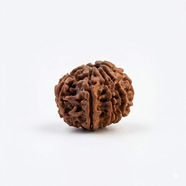 Brown nine mukhi rudraksha bead with carved ridges and central hole