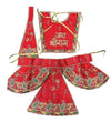Red chola dress for temple pooja with gold trim, green motifs, and scalloped skirt