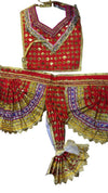 Embroidered pooja choga dress with red, gold, and multicolor trim; sleeveless V neck