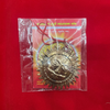 Surya Dev Copper Wall Hanging - Achleshwar