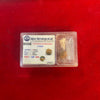 natural 4 mukhi rudraksha bead