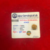 certified four faced rudraksha