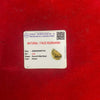 Brown 1-face rudraksha bead beside lab information card