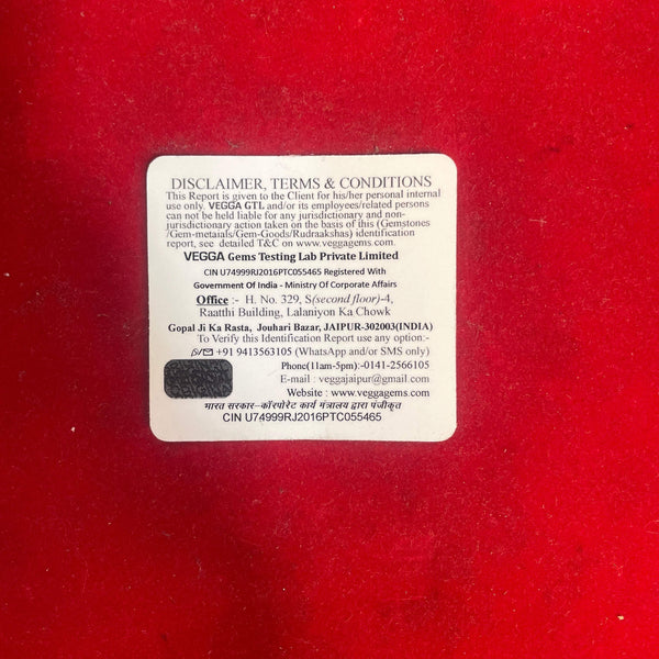 Rudraksha bead with disclaimer and terms card in clear packaging