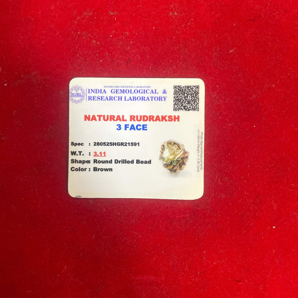 Lab certificate card labeled Natural Rudraksh 3 Face, brown color