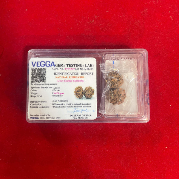 Clear case with VEGGA GEMS label and natural rudraksha beads