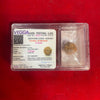 5 Mukhi Rudraksha – Panch Mukhi Five Faced Original Rudraksha Bead