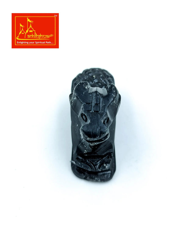Nandi Black Marble - Achleshwar