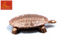 Turtle with Plate Copper Big