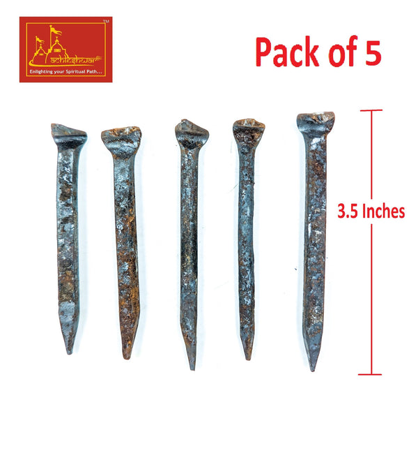 Achleshwar Nag Fani Ki Kile