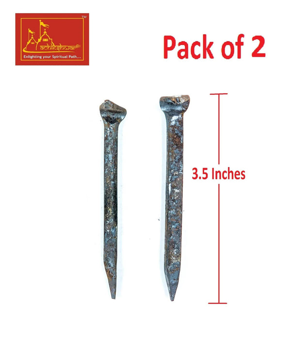 Nag Fani Ki Kile nails, blue-gray corroded, pack of 2, pointed ends