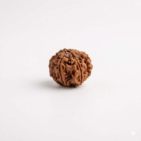 Brown eight-mukhi rudraksha bead with carved ridges, round shape
