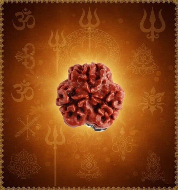 Rudraksha bead with three-face carving, reddish-brown, round cluster texture