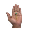 Miniature decorative gada mace held in hand, gold tip with multicolor jeweled cap