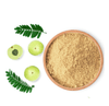 Amla Powder