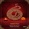 Brown rudraksha mala rosary with round 12mm beads, 108+1 strand, coiled necklace