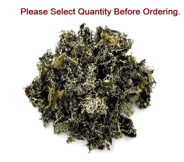 Chad Chabila - Achleshwar